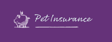 Pet Insurance